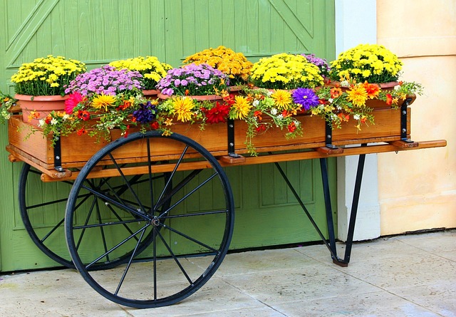 Albany Landscaping
