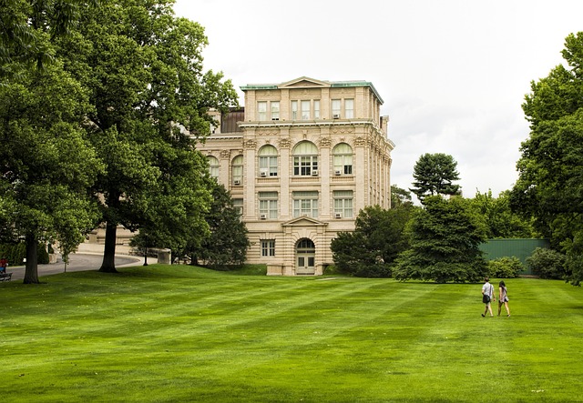 Albany Landscaping