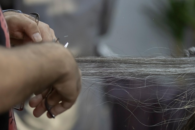 hair salon albany