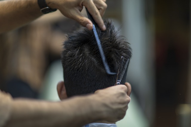hair salon albany