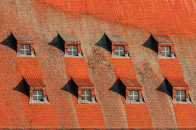 Houston, roof, roof repair