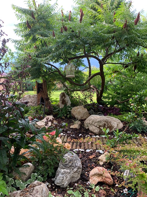 schenectady-landscaping-640x480-24713642.jpeg