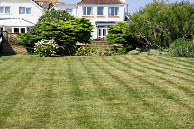 schenectady-landscaping-640x480-26905437.jpeg