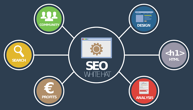 Albany Digital Marketing Agencies