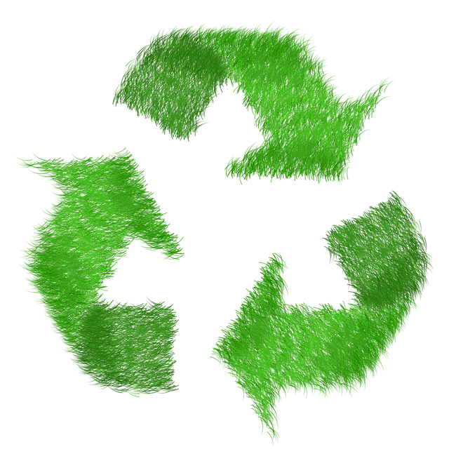 Albany Electronics Recycling