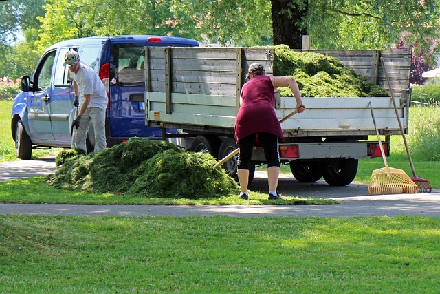 Albany Landscaping