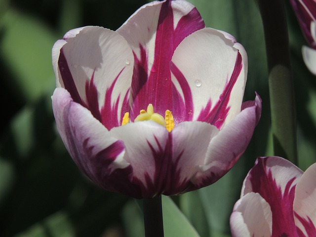Albany Landscaping