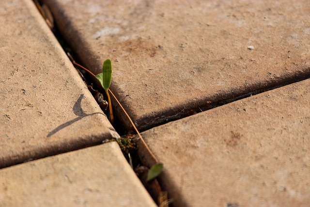 Resurfacing Concrete Driveways: Tips & Benefits for Albany Homes