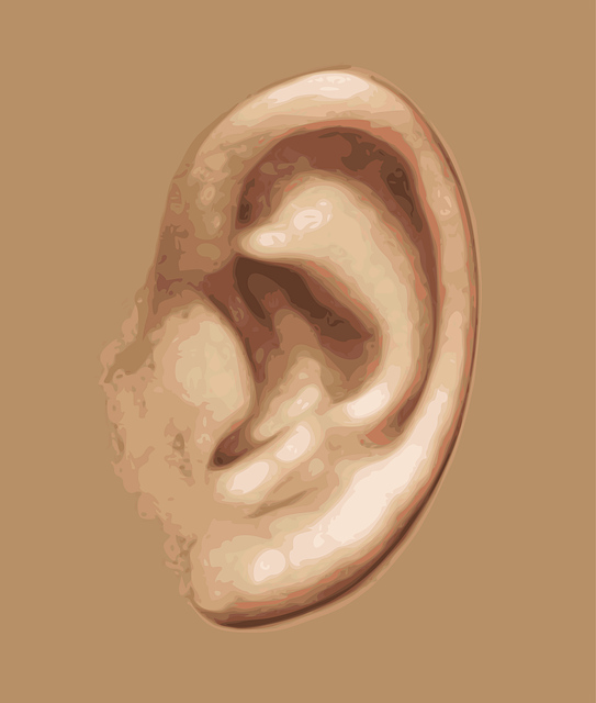 Albany workers comp hearing lawyer