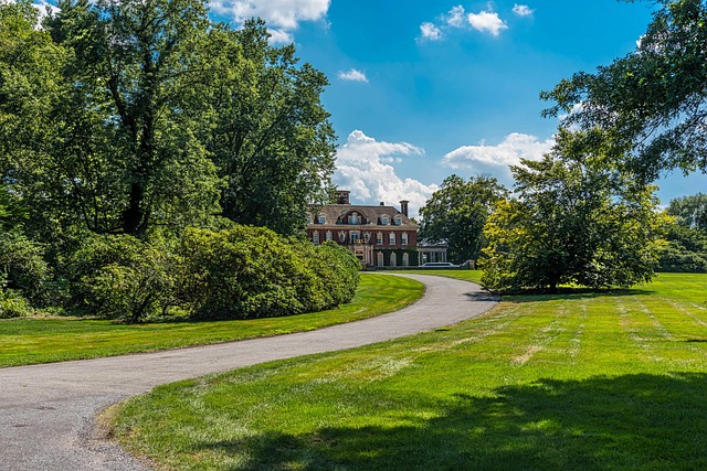 asphalt driveway installation Albany