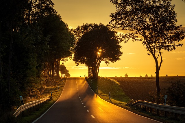 asphalt paving cost Albany