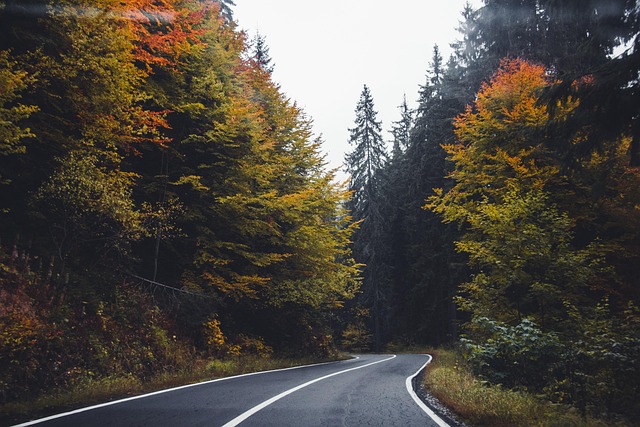 asphalt paving cost Albany