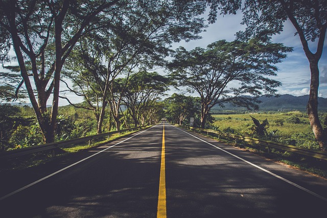 asphalt paving cost Albany