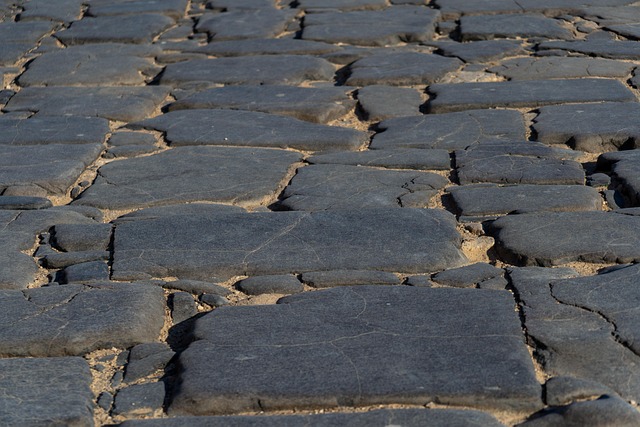 Affordable Road Repairs Albany: Asphalt Paving Solutions & Tips