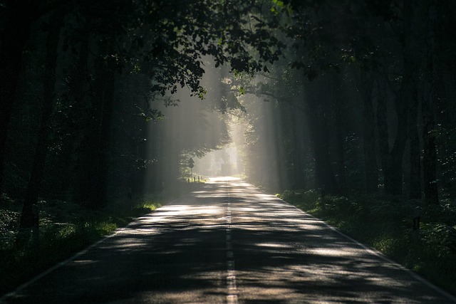 asphalt paving estimate Albany