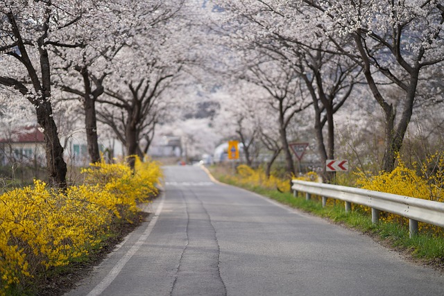 asphalt repair Albany NY