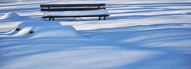 Banks in Williamsville NY