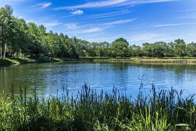 clifton-park-ny-banks-640x480-35179377.jpeg