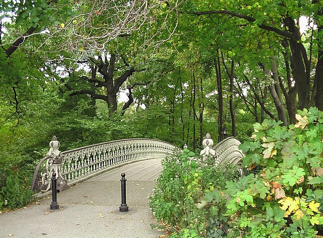 Clifton Park NY Banks
