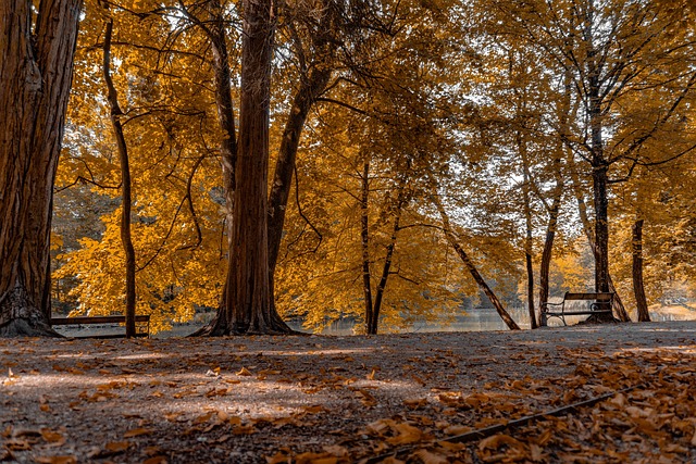 Clifton Park NY Banks