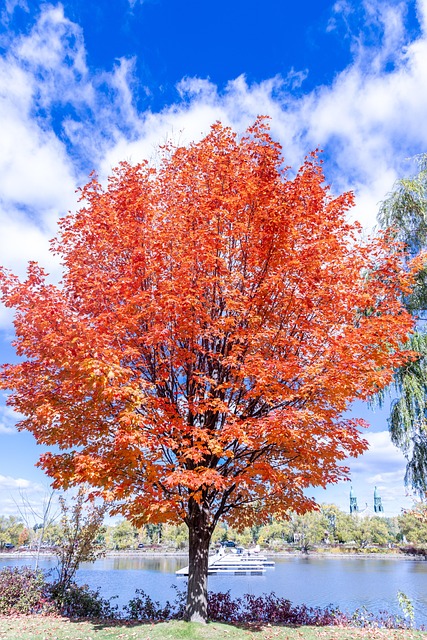 Clifton Park NY Banks