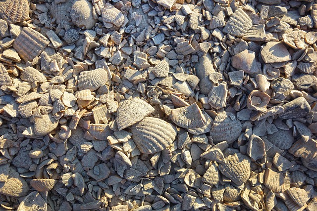 driveway-paving-albany-640x480-61415757.jpeg