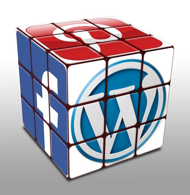 Facebook Ads agency Albany