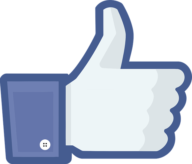 facebook-ads-agency-albany-640x480-15412745.png