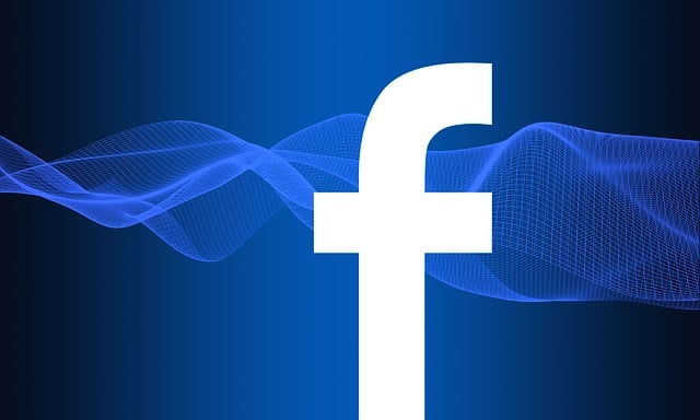 Facebook Ads agency Albany