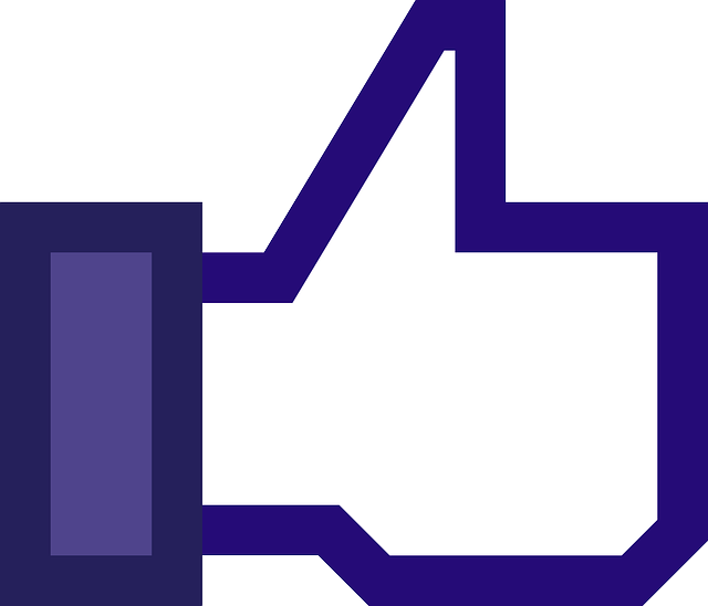 facebook-ads-agency-albany-640x480-47865486.png