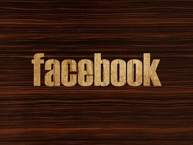 facebook-ads-agency-albany-640x480-78503715.jpeg