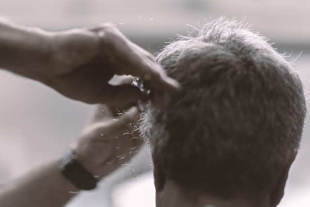 hair salon albany