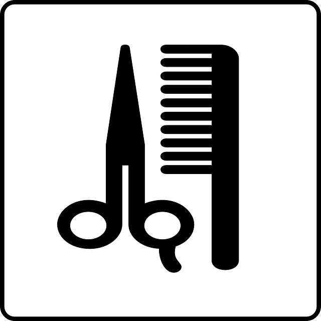 hair salon albany