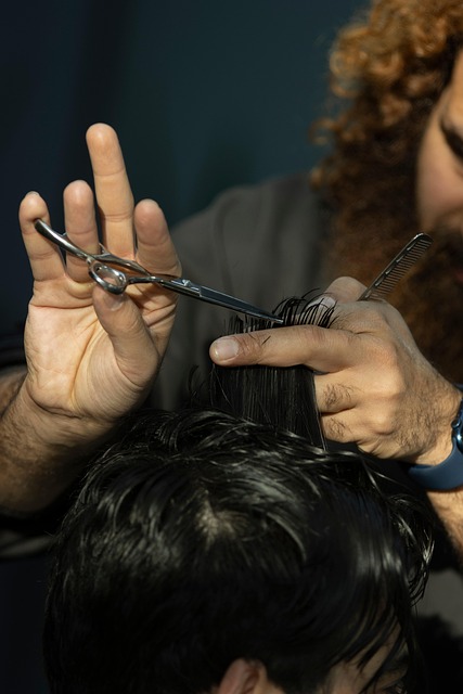 hair salon albany