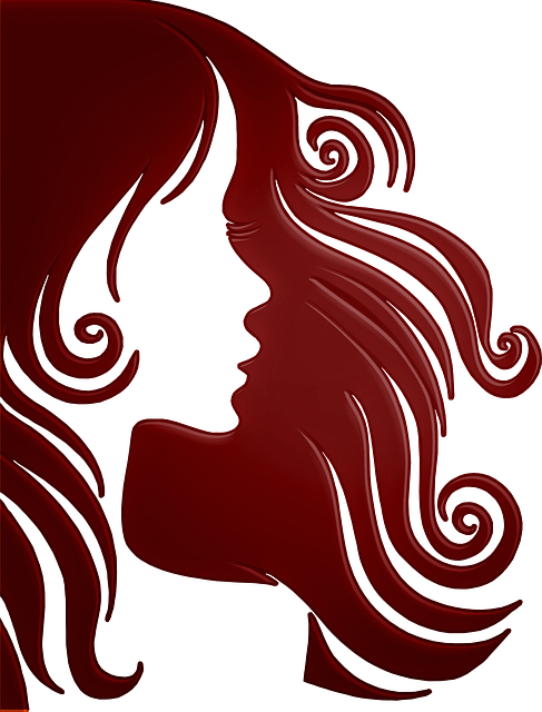 hair salon albany