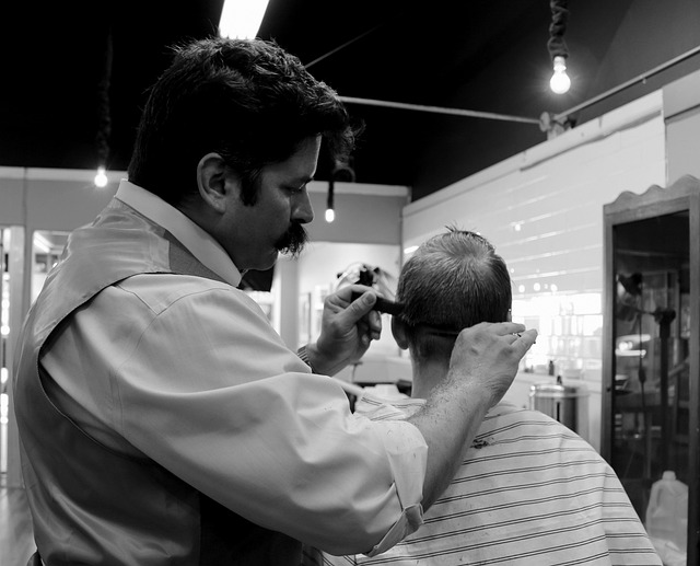 hair salon albany
