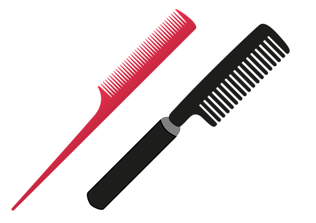 hair salon albany