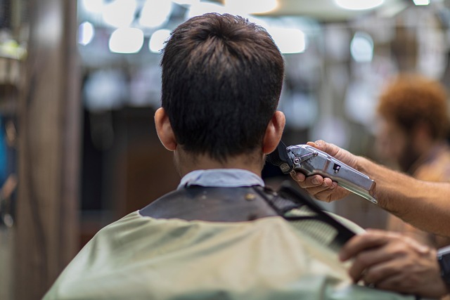 hair salon albany