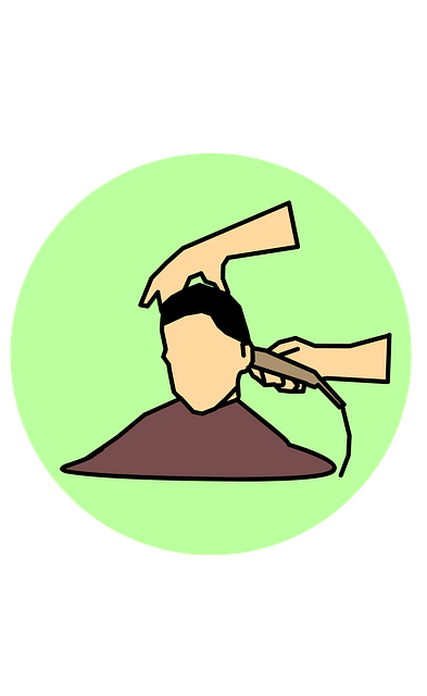 hair salon albany