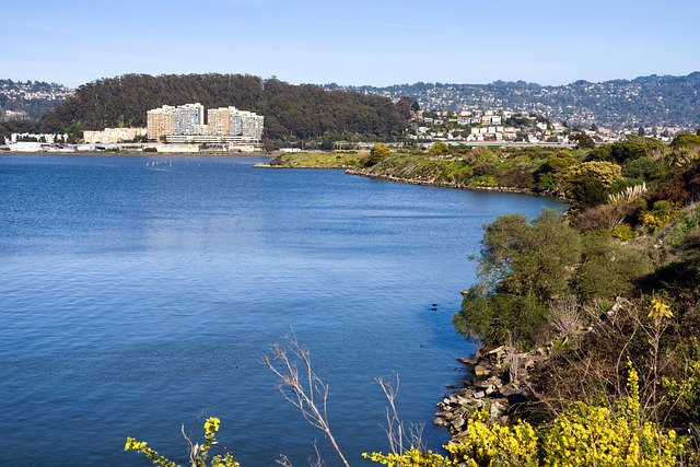 heat pump water heater cost Albany
