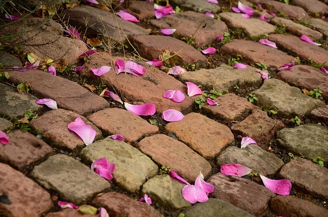 HOA paving Albany