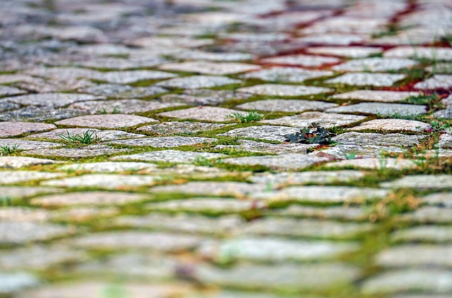 industrial paving services Albany