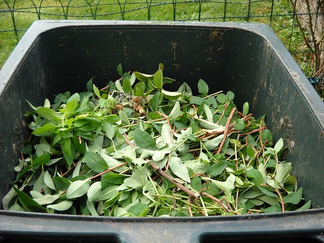 New York Electronics Recycling: Navigating Hazardous Waste Regulations