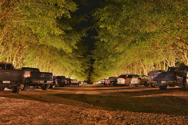 parking lot paving Albany