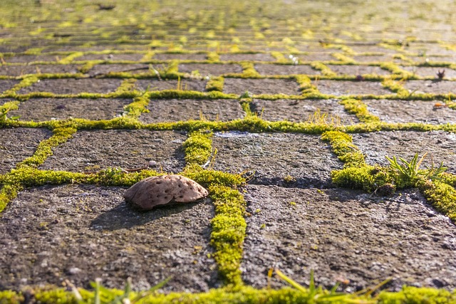 paving companies near Albany NY