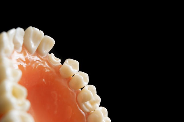 pediatric dentist