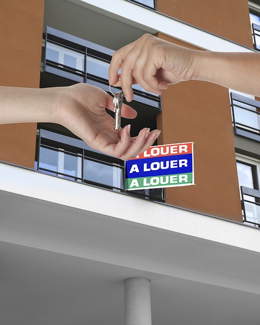 reputation management agency Albany