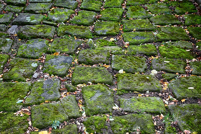 residential paving Albany