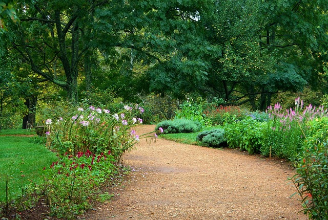 Saratoga Springs Landscaping