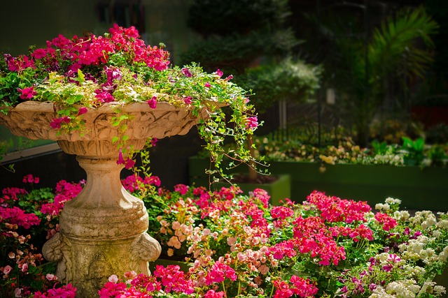Saratoga Springs Landscaping